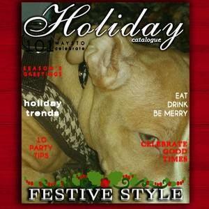 Meet your Posher, Electra